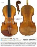 Violino 4/4 #1746 Modelo Amati