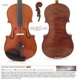 Violino 4/4 Autor Wayne Chow #2363