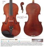 Viola 38 Autor Wayne Chow #9801 Profissional