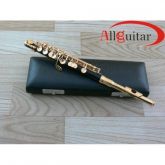 Flauta Piccolo Flautin Dourado