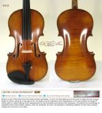 violino 4/4 Autor Wayne Chow #2478